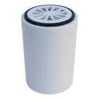 Repuesto Original Blanco Filtro Purificador De Agua Para Ducha